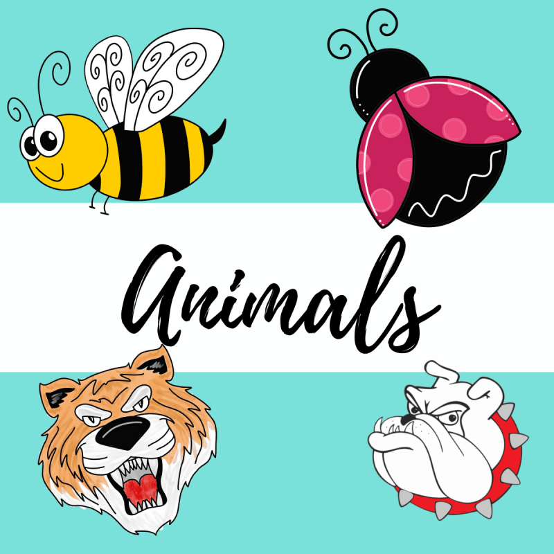 Animal templates